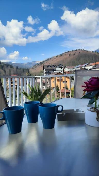 Apartament Erika Premium Sinaia Kültér fotó