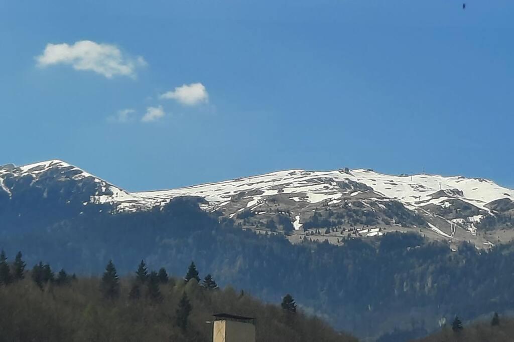 Apartament Erika Premium Sinaia Kültér fotó
