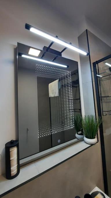 Apartament Erika Premium Sinaia Kültér fotó