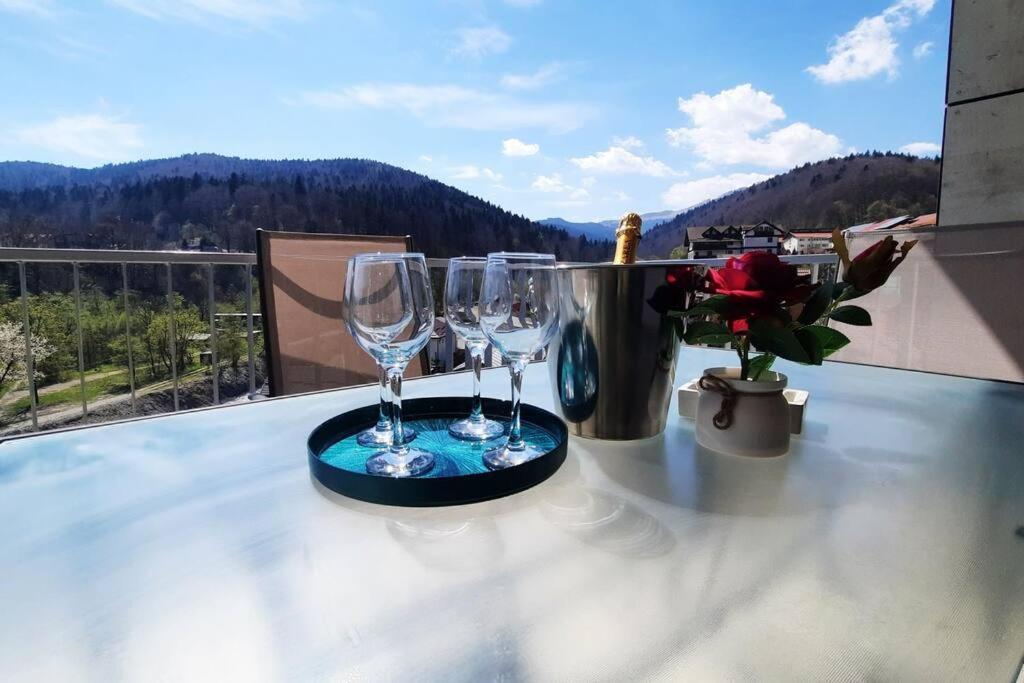 Apartament Erika Premium Sinaia Kültér fotó